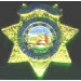 MADERA COUNTY, CA DEPUTY SHERIFF BADGE PIN